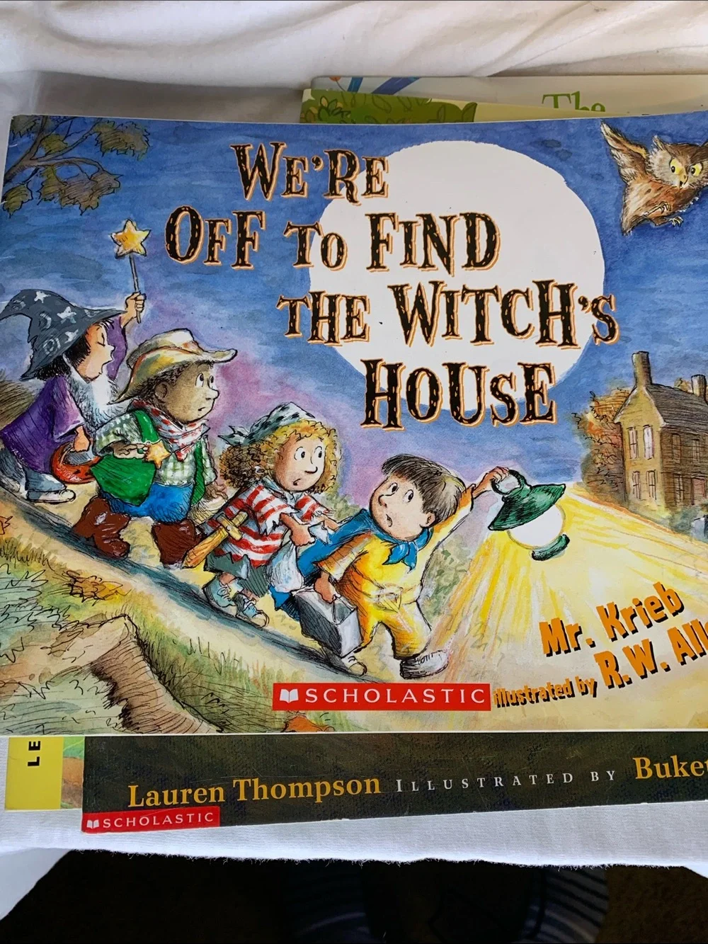Scholastic Childrens book Bundle